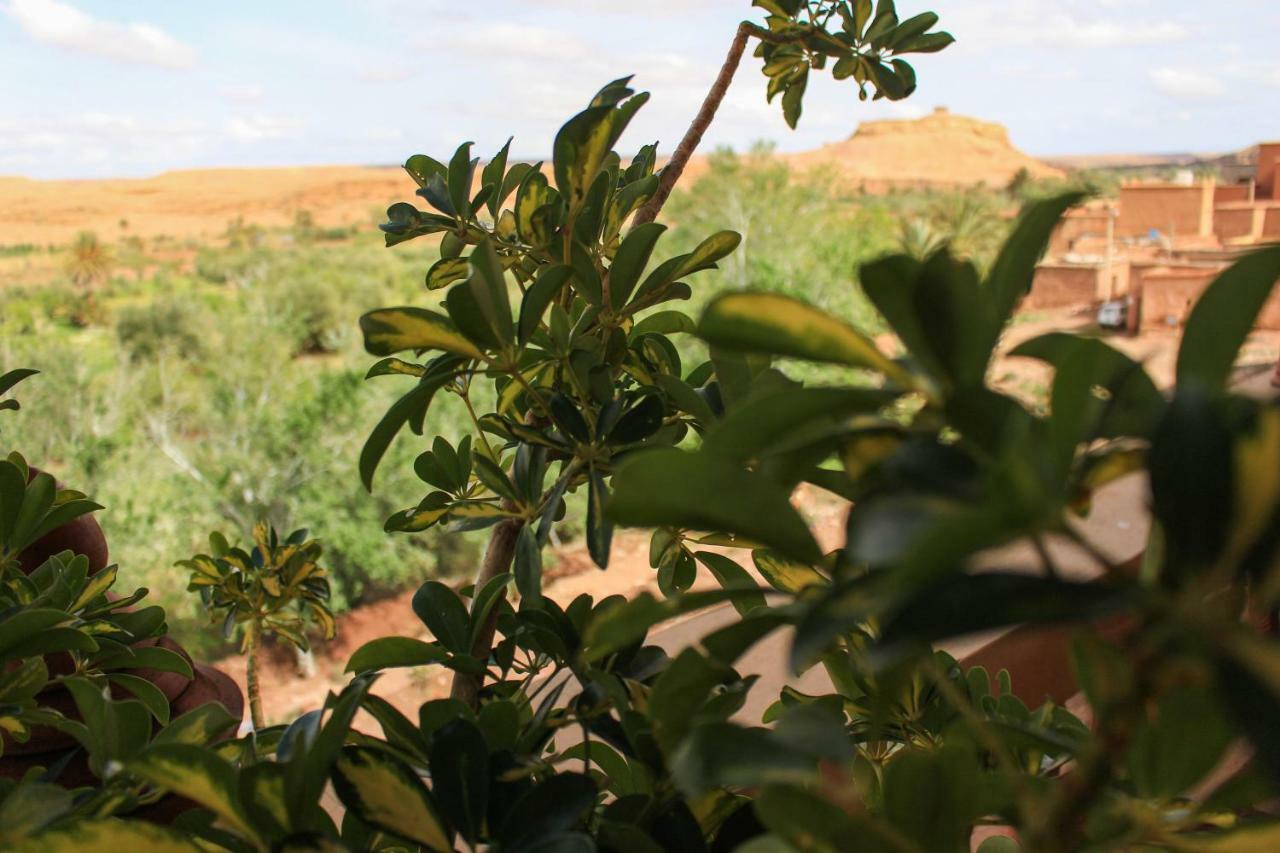 Bed and Breakfast L'oasis Du Bonheur à Ait Benhaddou Extérieur photo